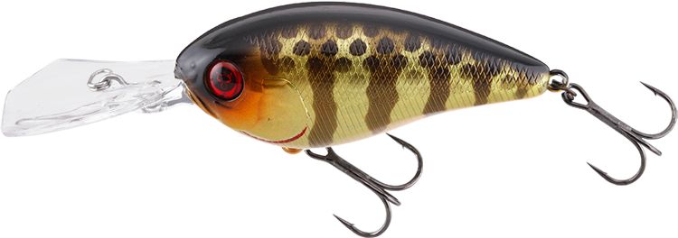 Sk Champagne Gold Gill