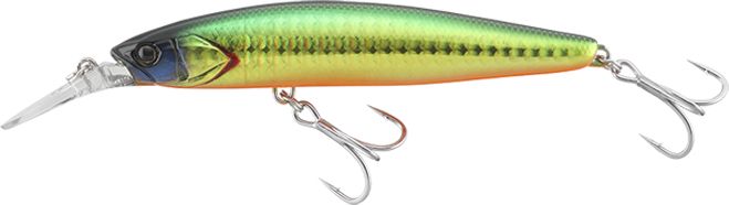 Nigori Green Gold Appeal