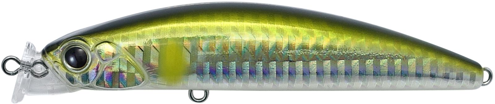 AHA0010