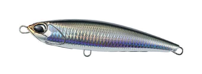 Clear Anchovy