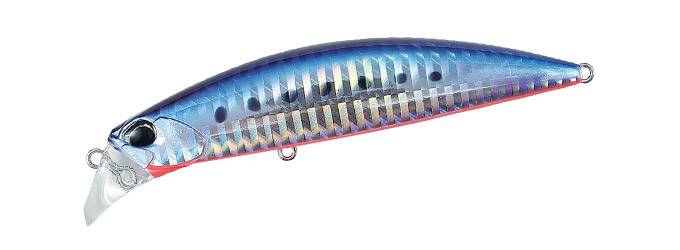 AHA0087 - Mazume Sardine