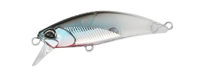 DSH0115 - Fish Jr.