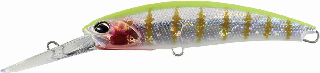ADA3305 - Fang Gill