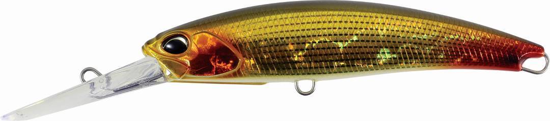 ADA3311 - Golden Dorado