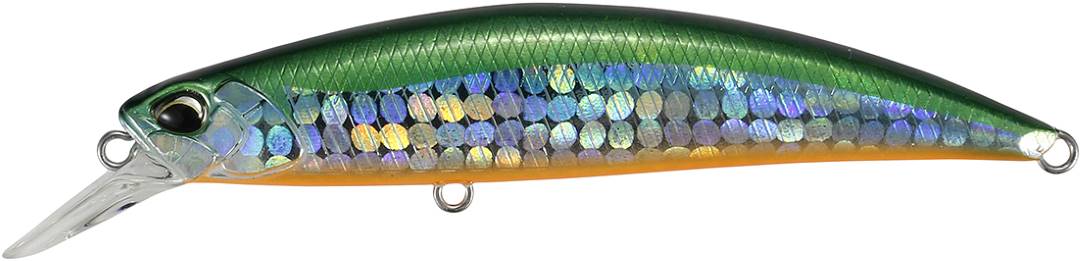 AQA0283 - Tiranga OB