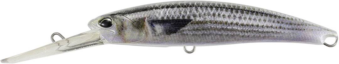 DST0804 - Mullet ND