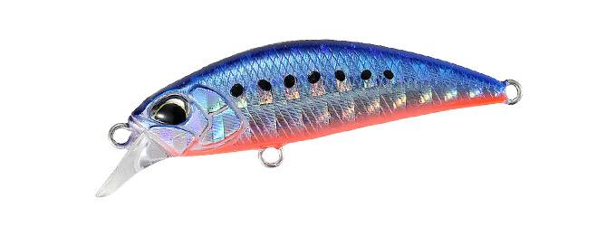 AHA0087 - Mazume Sardine