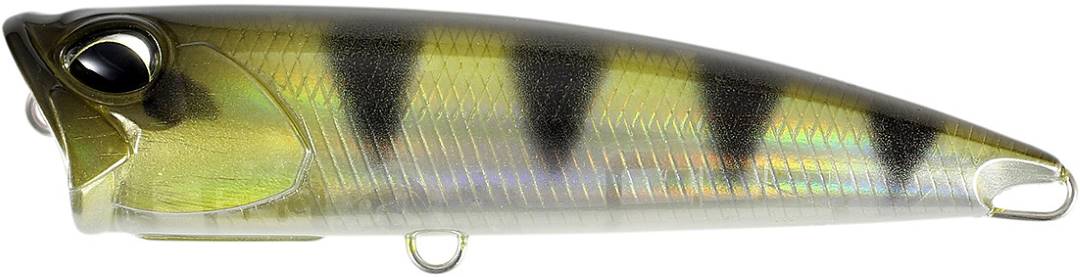 CTA3352 - Ghost Archer Fish