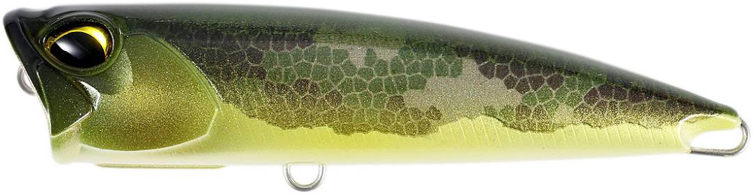 CCC3895 - Fang Camo ND