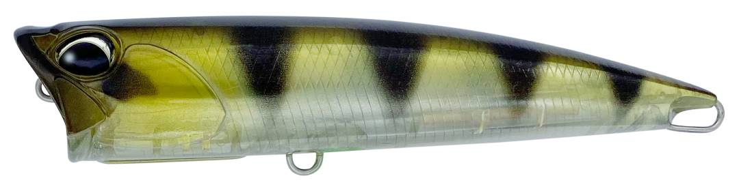 CTA3352 - Ghost Archer Fish