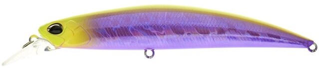 AJA0181 - Pacific Purp