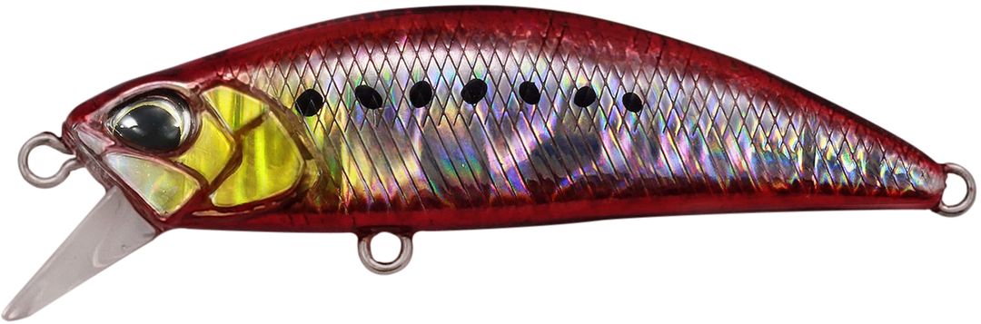 CPA0384 - Fire Sardine