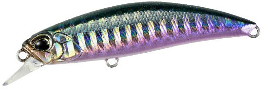 DHN0402 - Belone