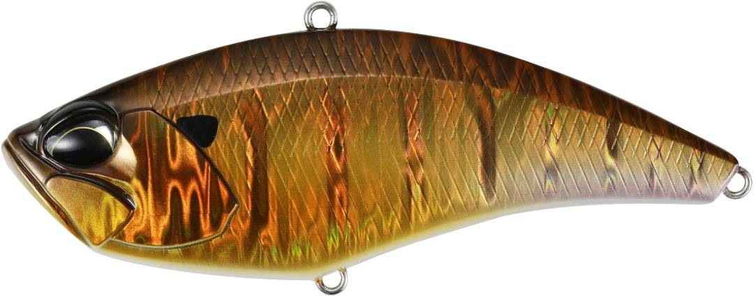 DPA3268 - Bronze Gill