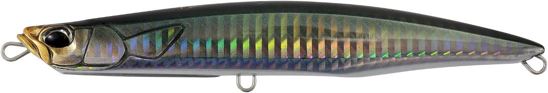 CHA0114 - Clear Anchovy