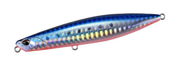 AHA0087 - Mazume Sardine