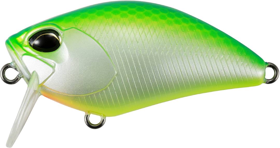CCC3180 - Citrus Shad