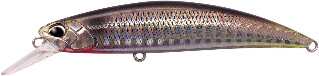 DBA0157 - Waka Mullet