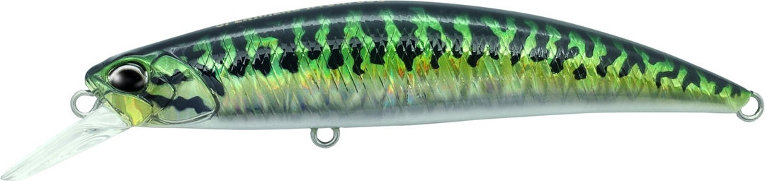 CPA0263 - Mackerel