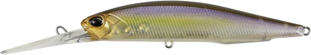 CCC3176 - Morning Dawn