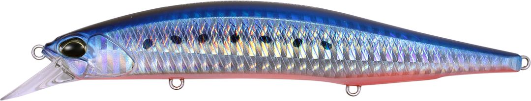 AHA0087 - Mazume Sardine