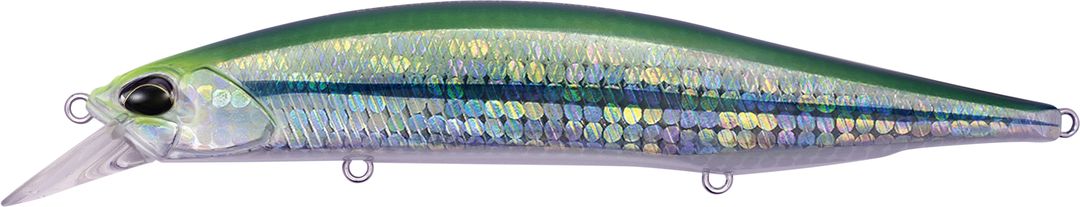 AQAZ033 - Chart Head Sayori