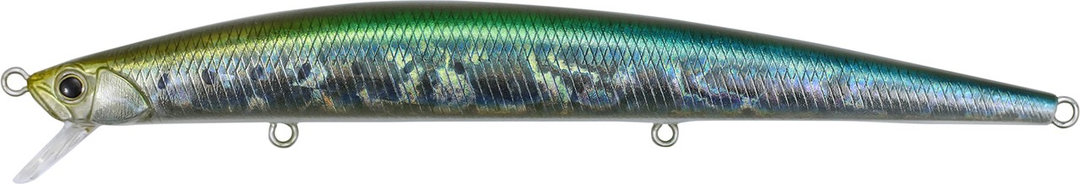 DDA0015 - YGB Sardine