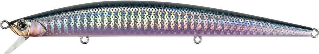 DHN0402 - Belone