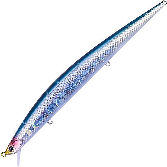 DDN0491 - Euro Anchovy