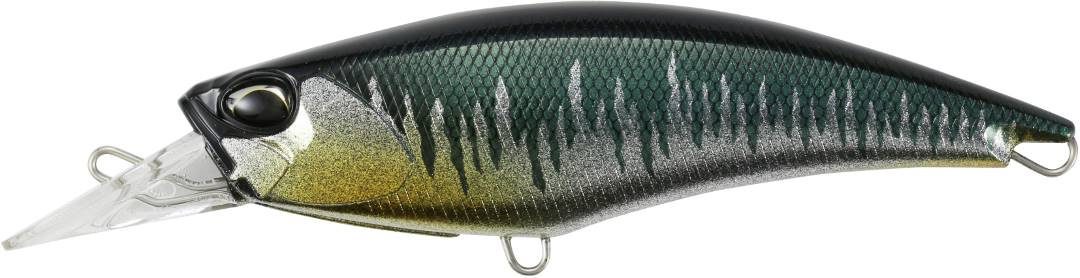 CCC3369 - Bass