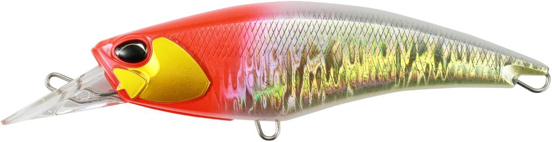 CPA3255 - PG Red Head