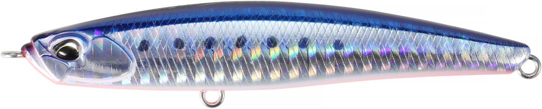 AHA0087 - Mazume Sardine