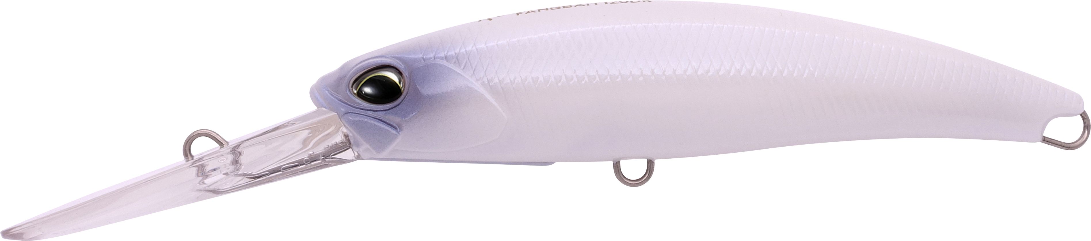ACC3008
