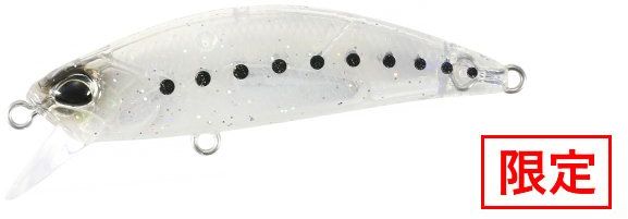 CEA4101