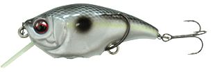 Shad