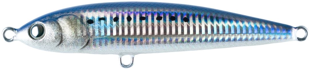 Silver Sardine