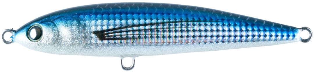 Silver Flyiog Fish