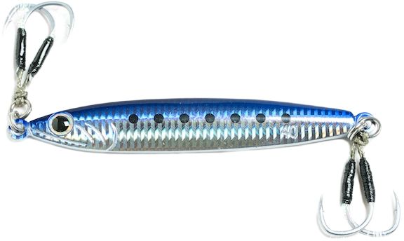 Sardine