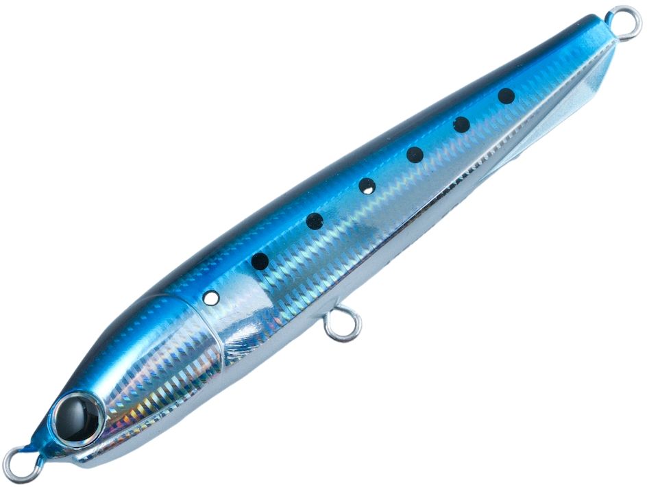 Sardine