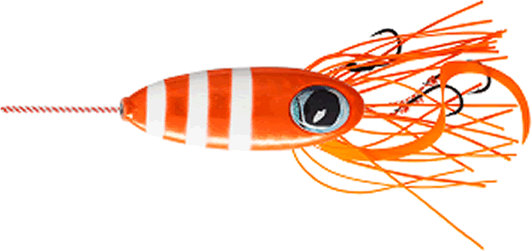Zebra Orange