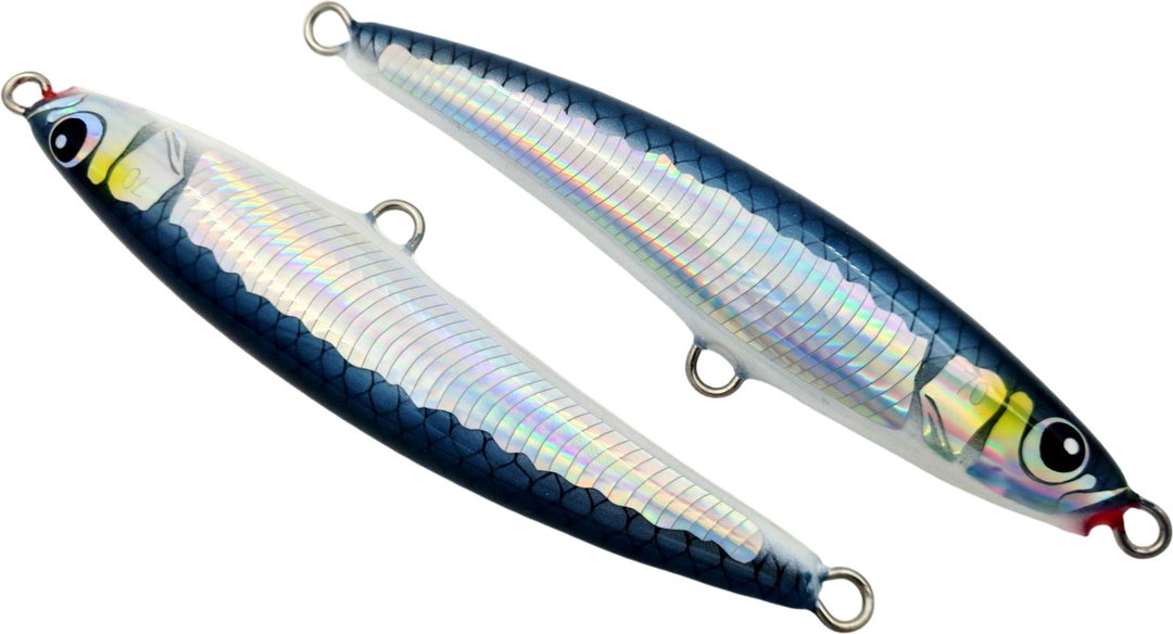 Blue Sardine
